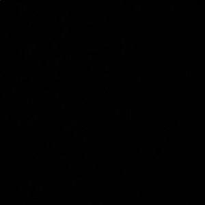 Meet your Posher, Audrey